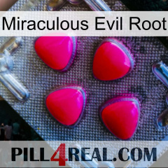 Miraculous Evil Root 13